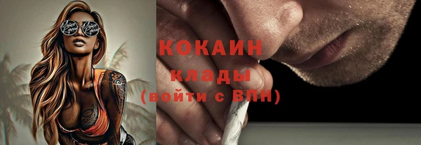 ПСИЛОЦИБИНОВЫЕ ГРИБЫ Бородино