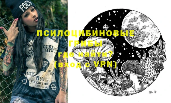 ПСИЛОЦИБИНОВЫЕ ГРИБЫ Бородино