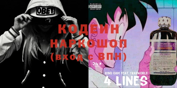 ПСИЛОЦИБИНОВЫЕ ГРИБЫ Бородино