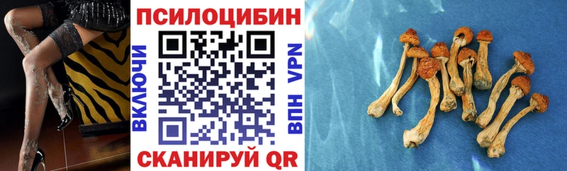 Псилоцибиновые грибы мицелий где продают наркотики Малаховка
